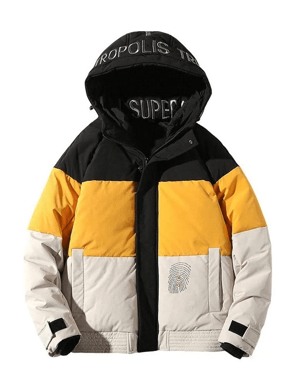Stylish men's down jacket with hood, color-block design, SF1901, thermal and windproof, polyester material, winter coat.